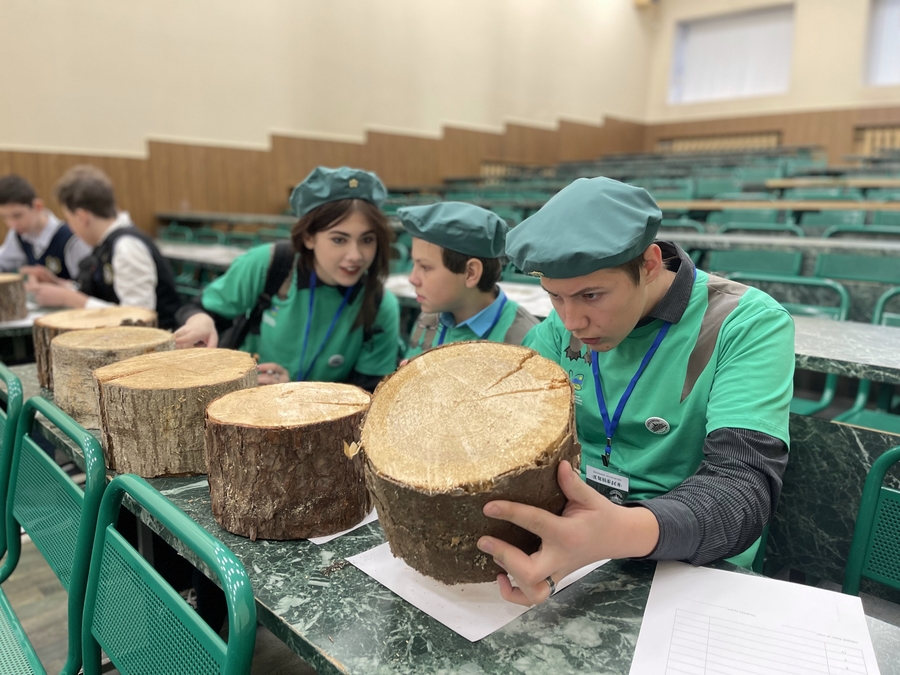 Школьник из Гатчинского района победил в областной олимпиаде лесничеств   